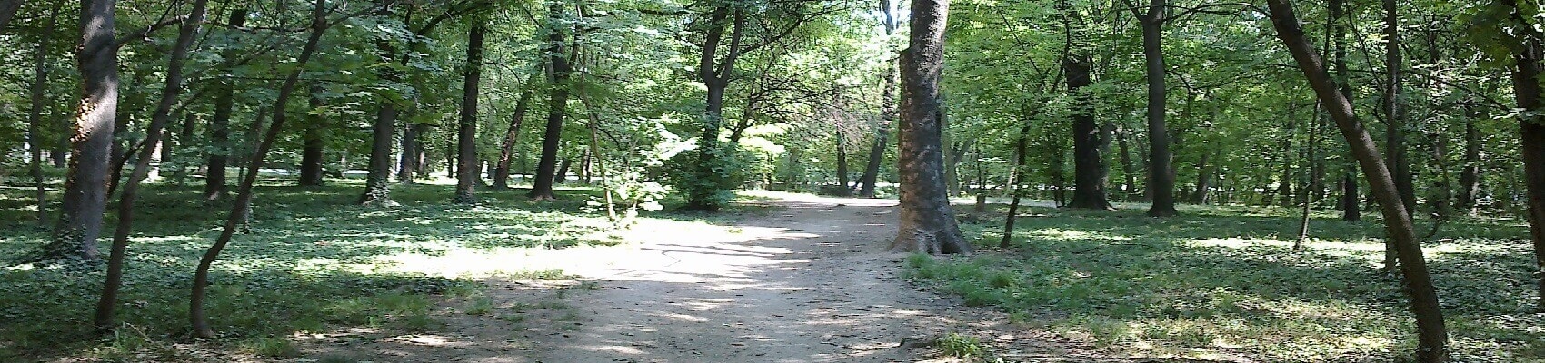 Rent a car Beograd: Šumice