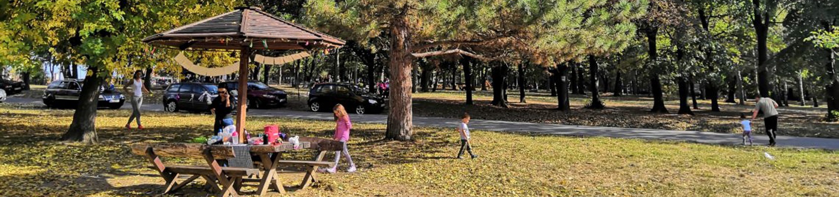 Rent a car Beograd: Zvezdara